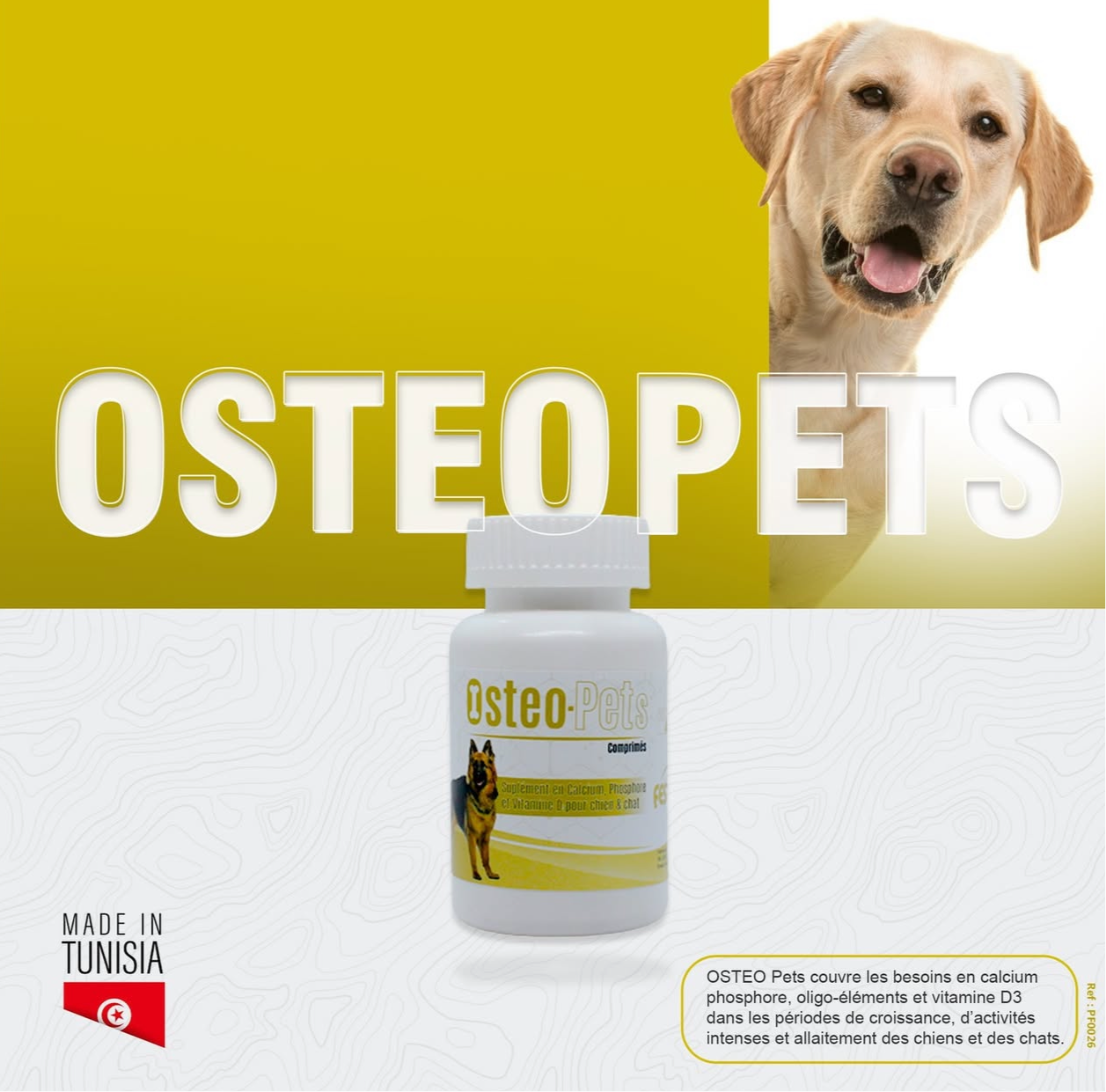 FESTIN OSTÉO PETS - COMPLEMENT ALIMENTAIRE CHAT & CHIEN 90 CMP