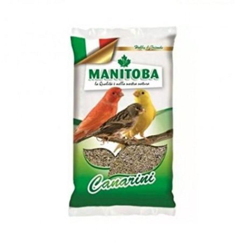 MANITOBA CANARINI 1 KG