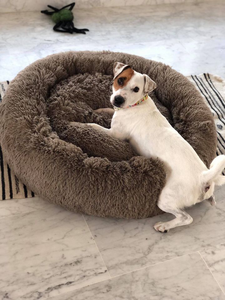 PANIER FOURRURE CHAT- CHIEN - MEDIUM - EXTRA DOUX ET LAVABLE