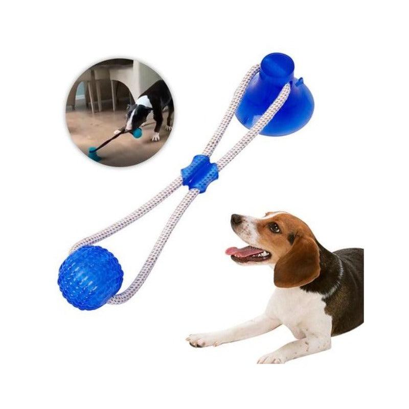 Croci Ruibuy Jouet avec Ventouse et Balle en Caoutchouc - Bleu