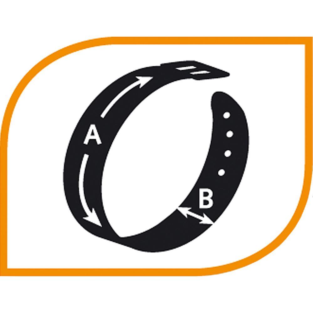 Collier Nylon pour Chiens en Différentes Tailles.