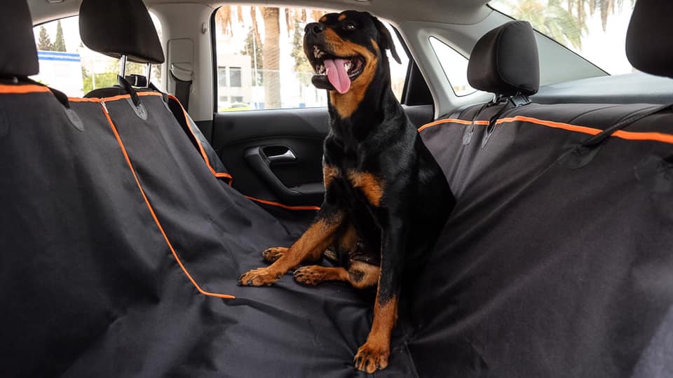GAIA - HOUSSE DE VOITURE POUR CHIEN
