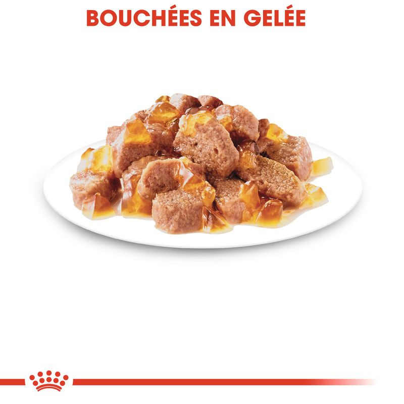 ROYAL CANIN - POCHON GELEE POUR CHAT STÉRILISÉ 85G
