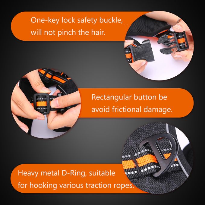 HARNAIS POUR CHIEN EN BLEU TAILLE