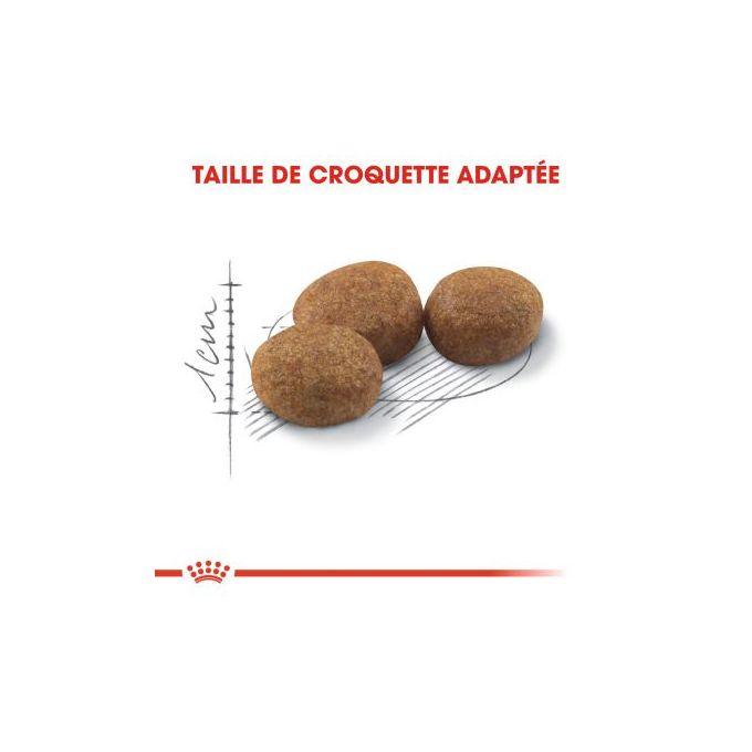ROYAL CANIN - CROQUETTE  CHAT STERILISED