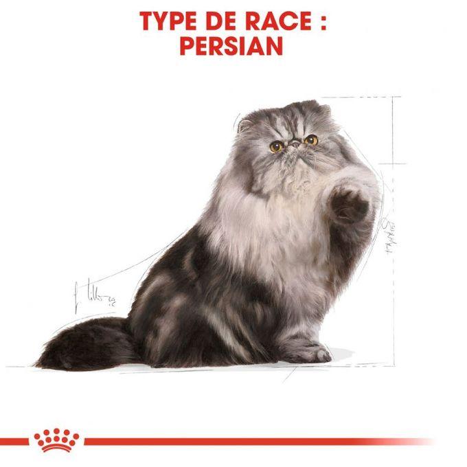 ROYAL CANIN CROQUETTE CHAT ADULTE SPECIAL PERSIAN