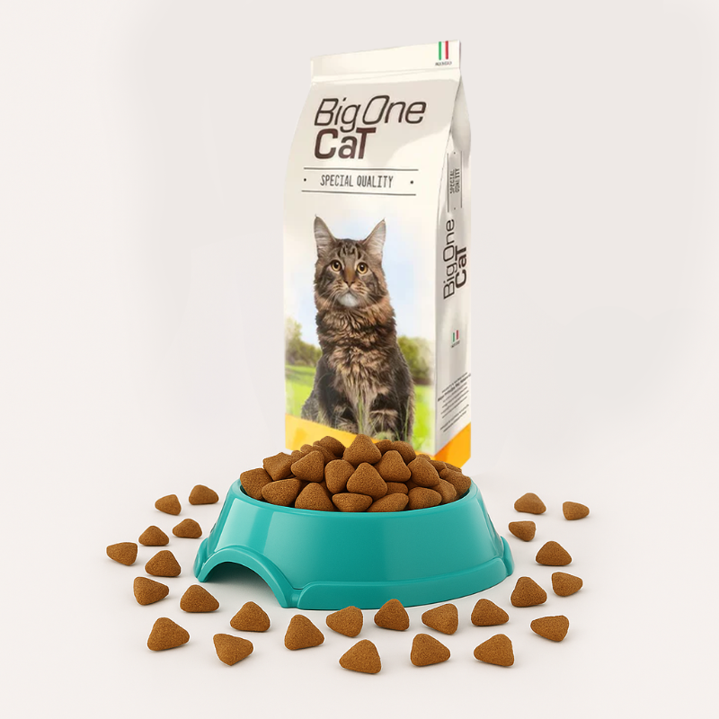 BIG ONE VRAC POUR CHAT ADULTE AU POULET 1 KG