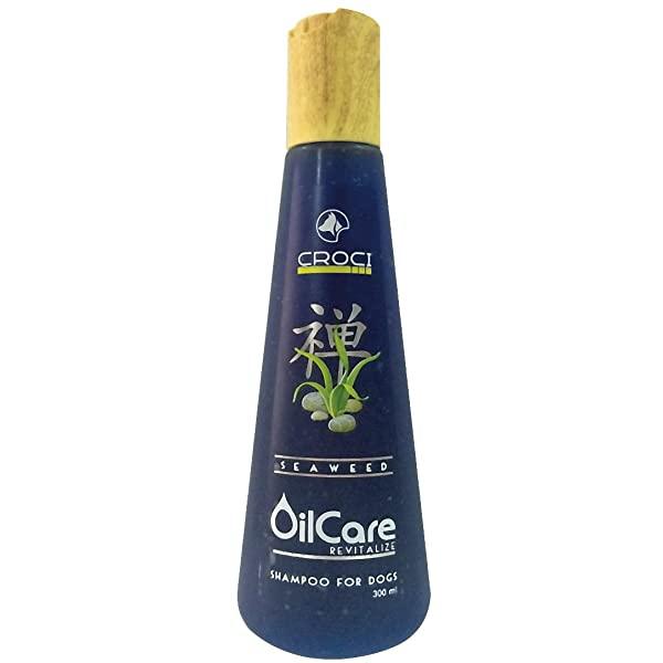 CROCI OILCARE  REVITALIZE SHAMPOOING , 300 ML