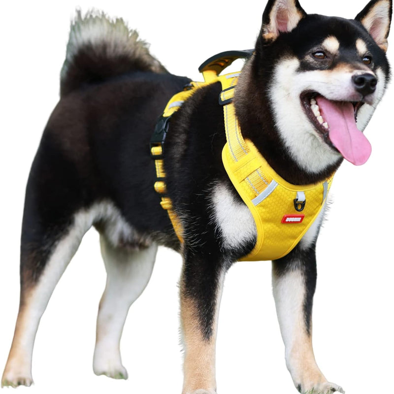HARNAIS POUR CHIEN EN JAUNE