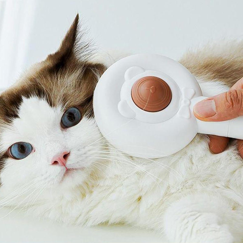 BROSSE AVEC COUPE GRIFFES ELECTRIQUE