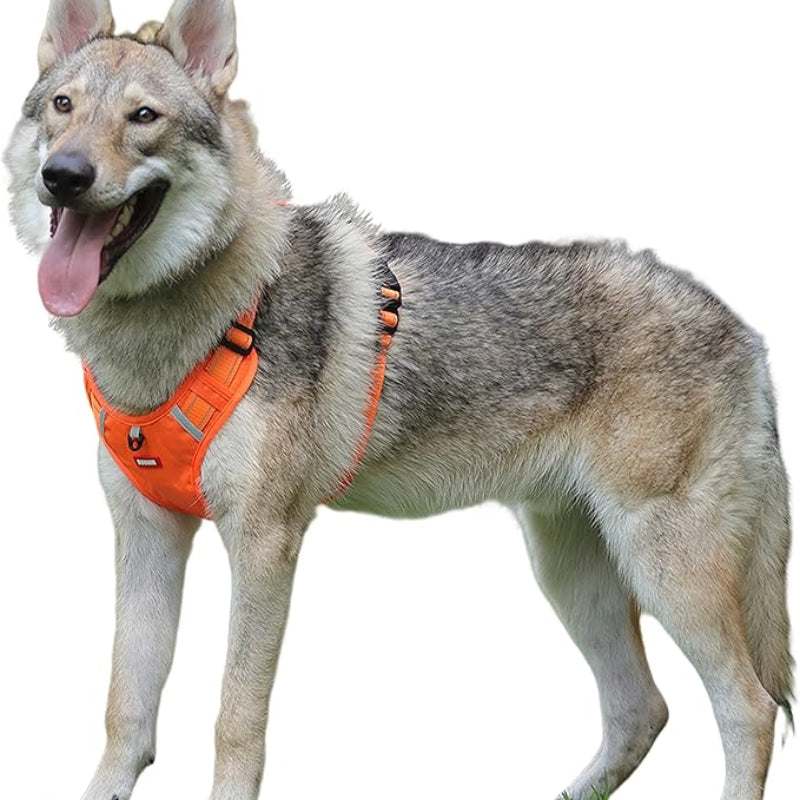 HARNAIS POUR CHIEN EN ORANGE