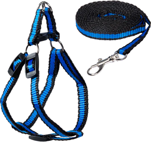 HARNAIS AVEC LAISSE ELASTIQUE