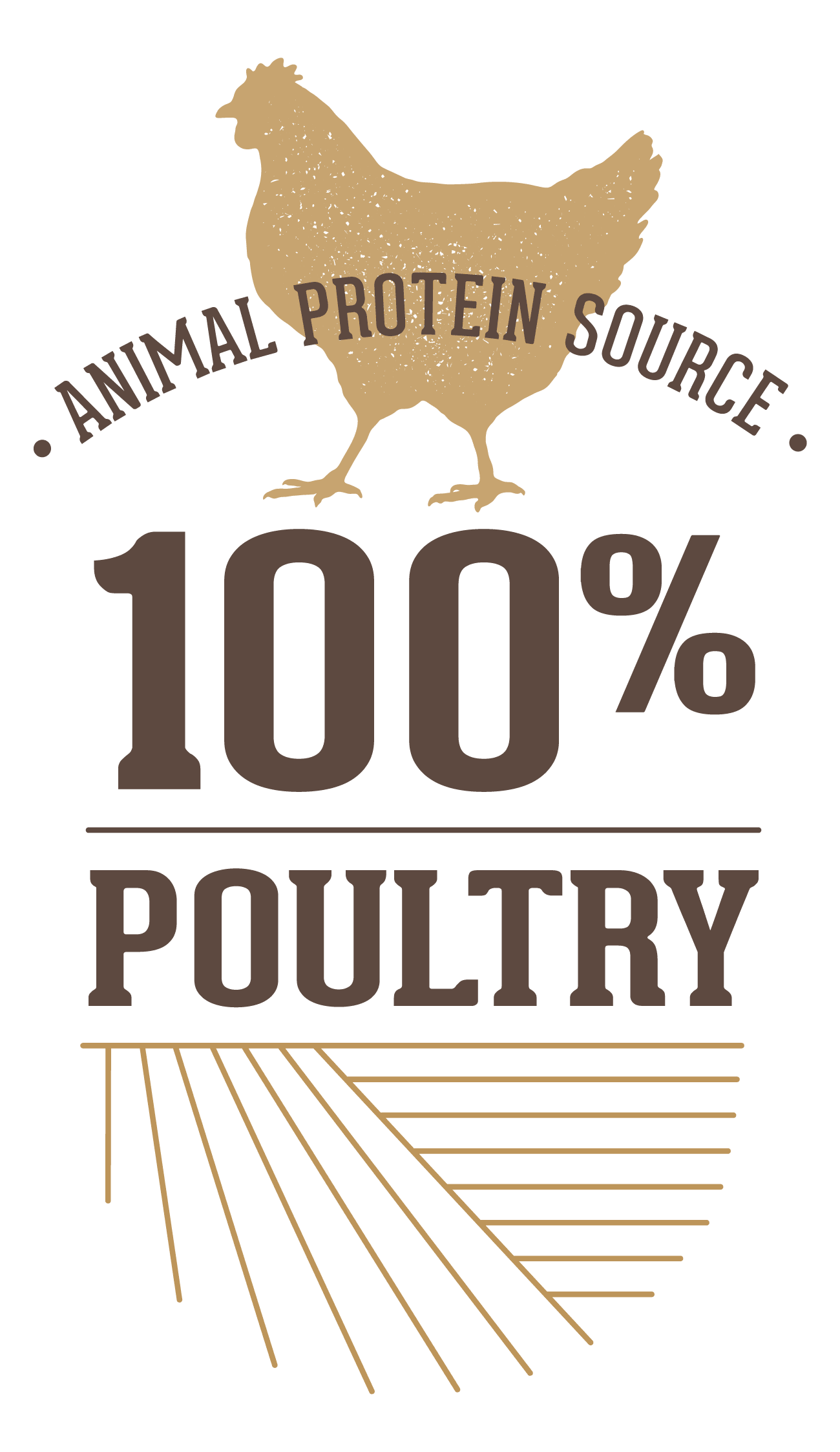 COTAGRO DAILY MENU CHAT ADULTE