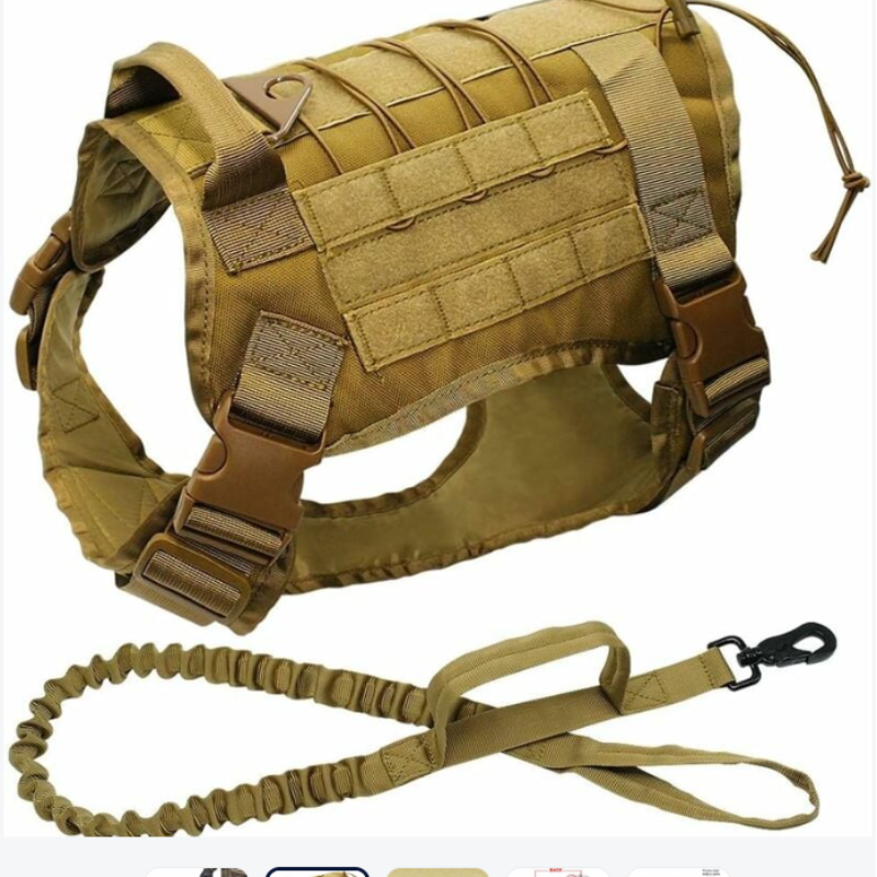 SET HARNAIS POUR GRAND CHIEN