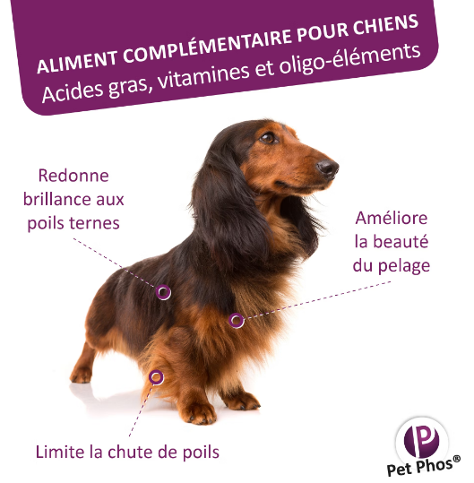 PETPHOS PELAGE CHIEN 50 CPR