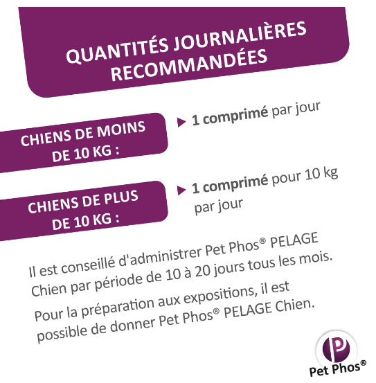 PETPHOS PELAGE CHIEN 50 CPR