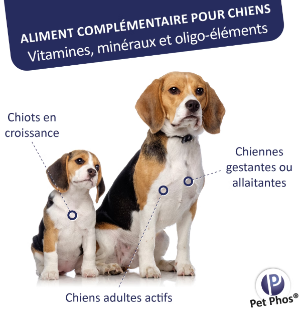 PETPHOS CROISSANCE CHIEN Ca/P=2 100 COMPRIMÉS