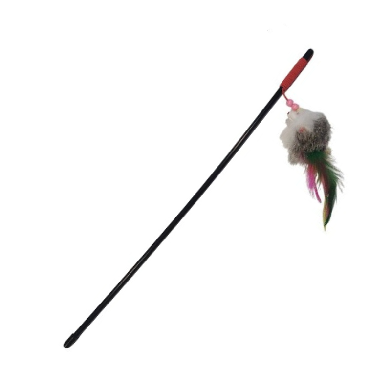 Canne A Péche Avec Souris