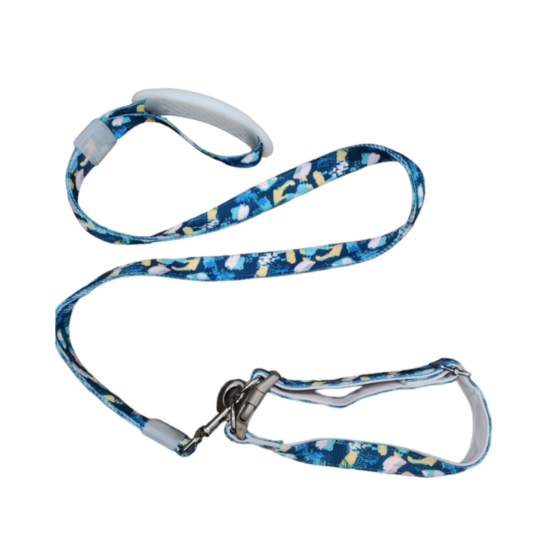 ABD LAISSE AVEC COLLIER POUR CHIEN LARGE