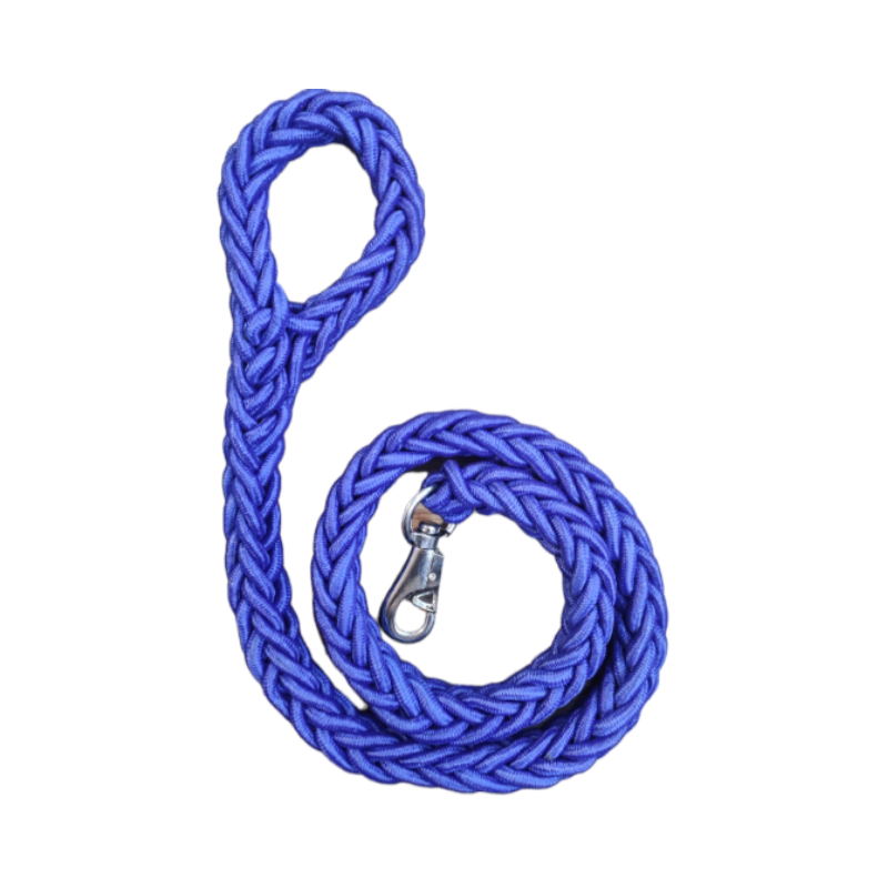 LAISSE POUR GRAND CHIENS EN BLEU