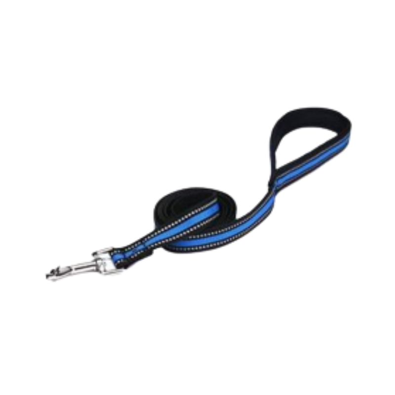 LAISSE POUR CHIEN-BLEU