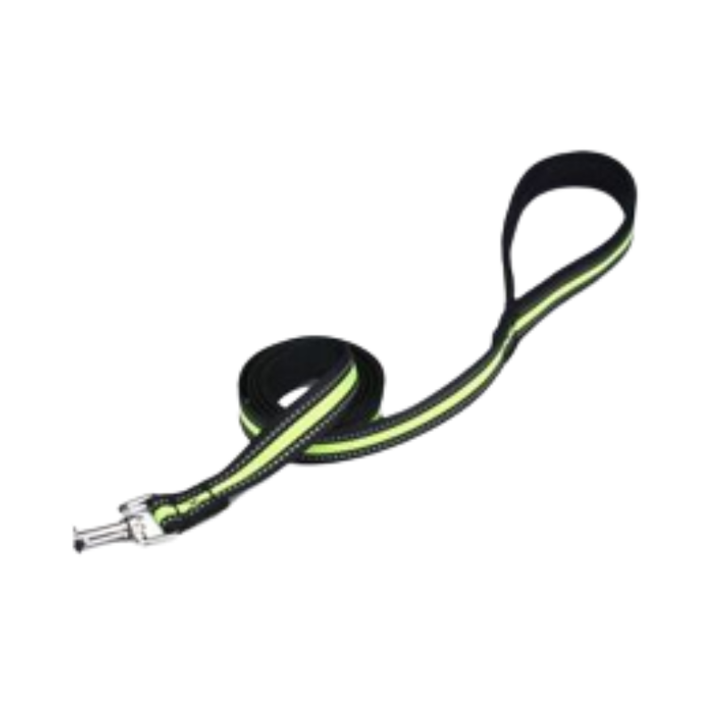 LAISSE POUR CHIEN-VERT