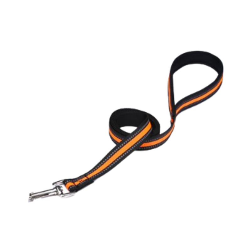 LAISSE POUR CHIEN-ORANGE