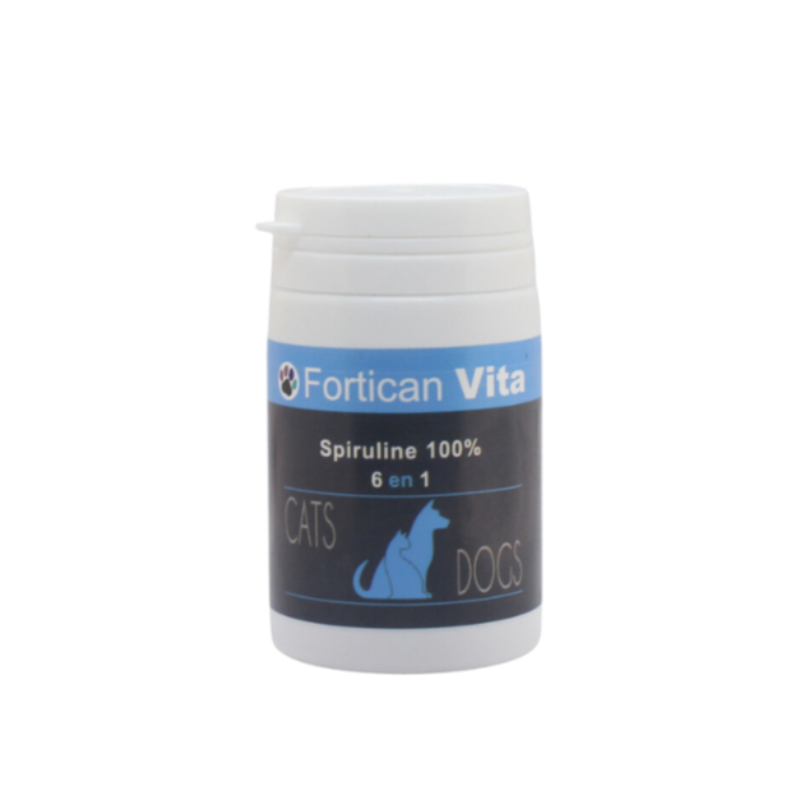 FESTIN FORTICAN VITA 6EN1 60 CPS