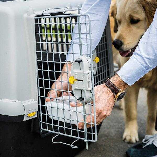 CAGE DE TRANSPORT IATA TAILLE  4  71X51X50H