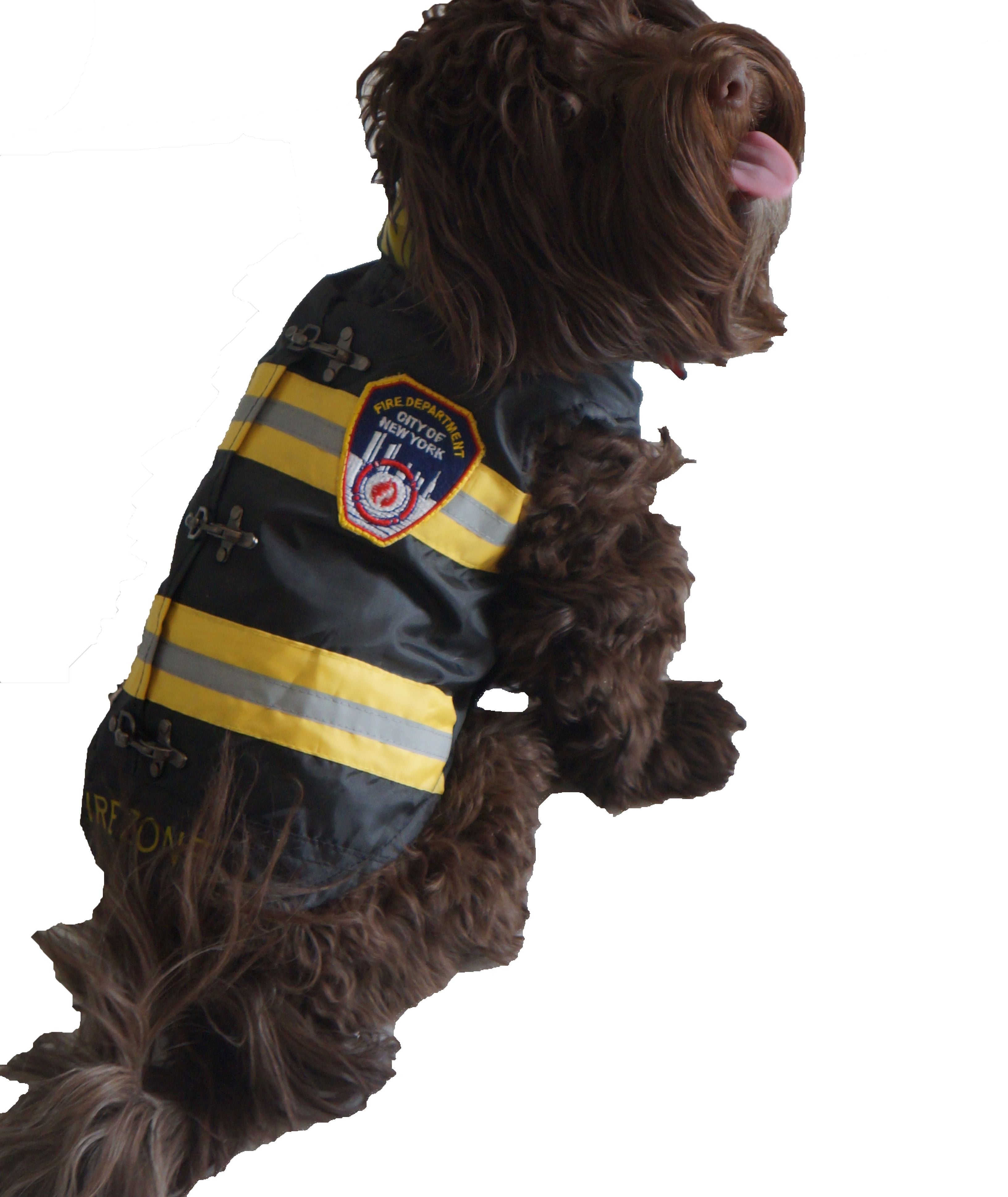 VÊTEMENT POUR MINI CHIEN