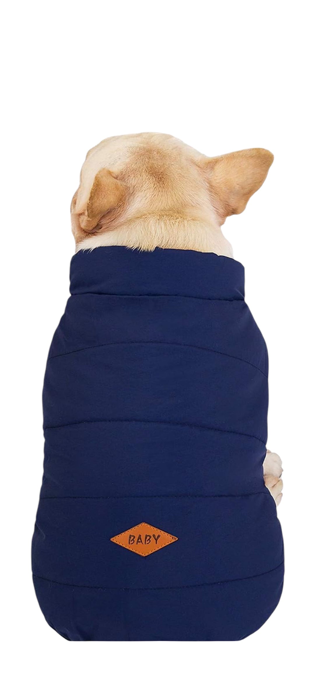 VESTE BOMBER DOUBLÉE POUR MINI CHIEN