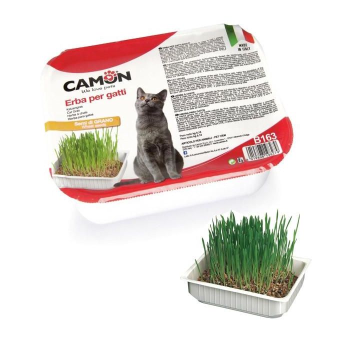 CAMON - HERBE A CHAT