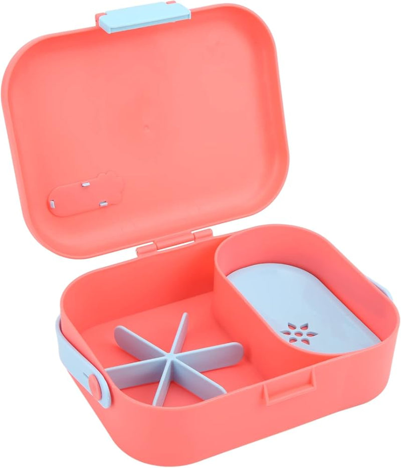 CONTENEUR DE NOURRITURE