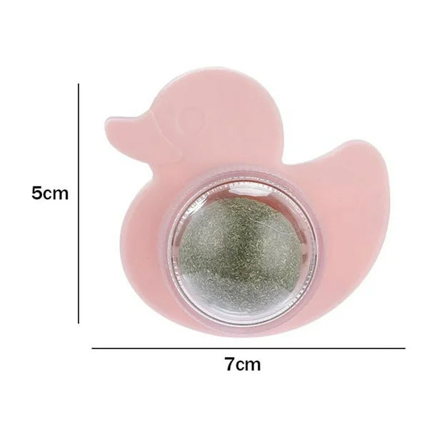 CANARD CATNIP HERBE A CHAT