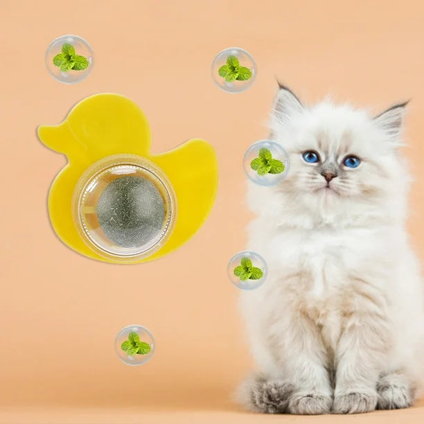 CANARD CATNIP HERBE A CHAT