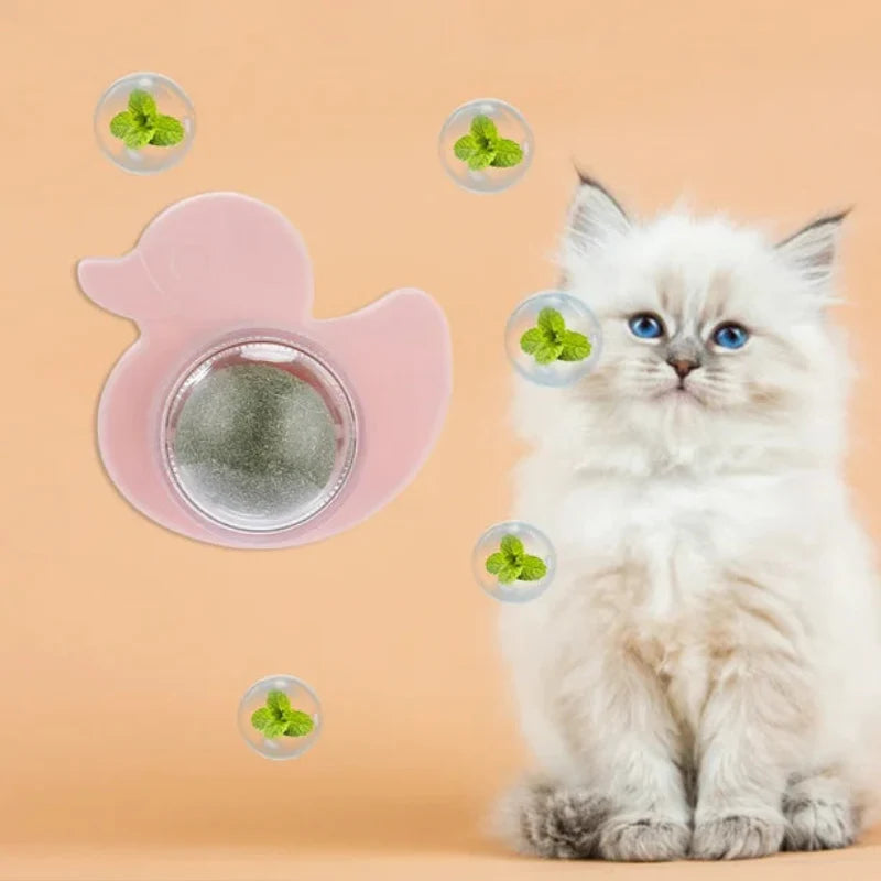 CANARD CATNIP HERBE A CHAT