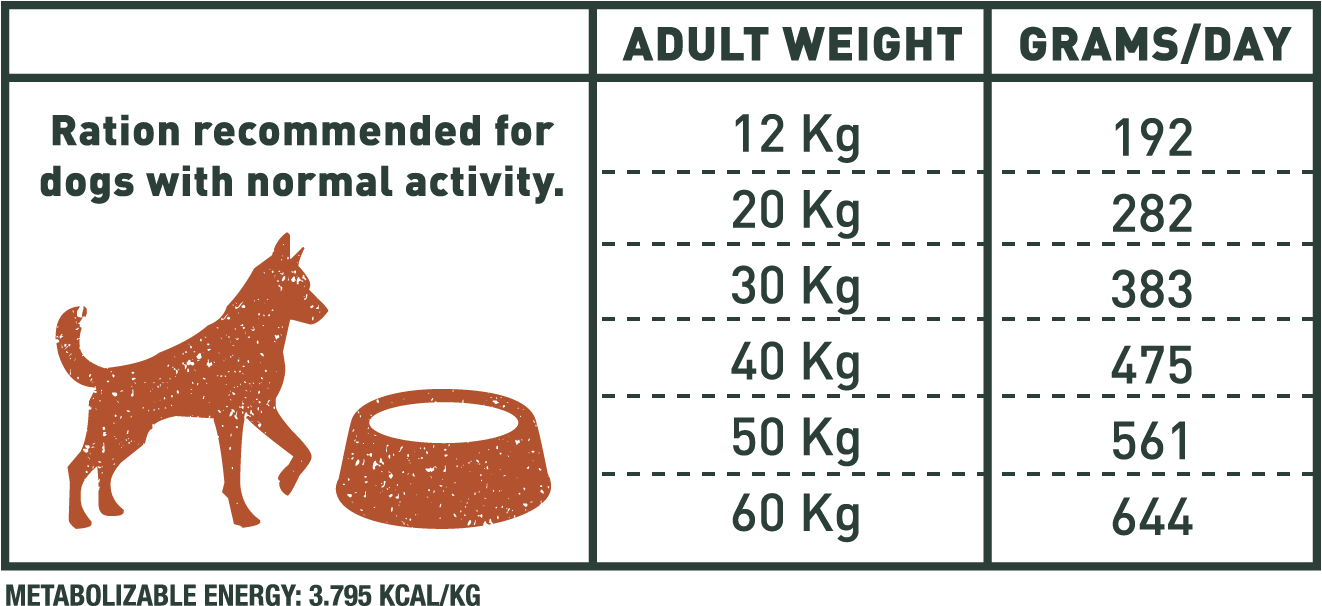 BRAVERY MINI ADULTE A L'AGNEAU SANS CEREALES 2KG