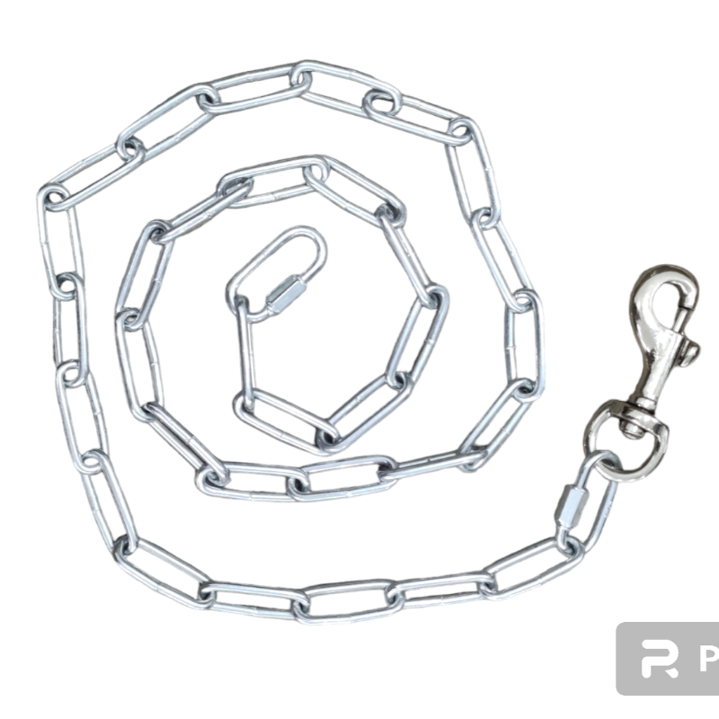 LAISSE EN METAL ANTIROUILLE POUR CHIEN 2 M