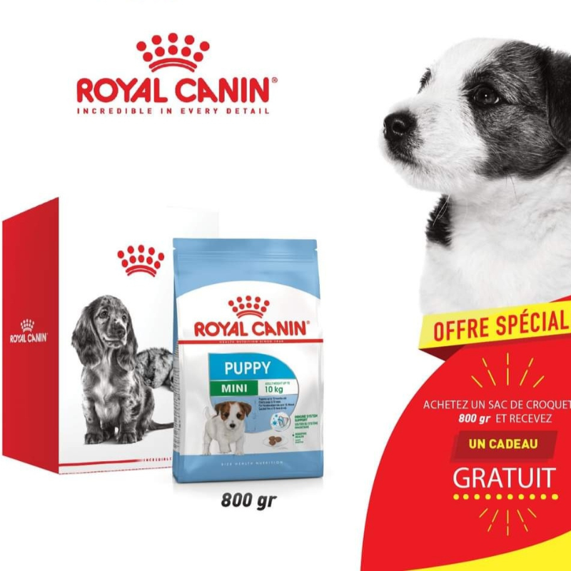 ROYAL CANIN - Kit CHIEN MINI PUPPY 800GR + CADEAU