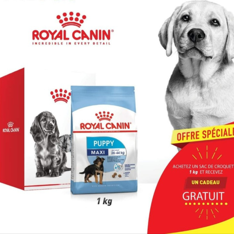 ROYAL CANIN - KIT MAXI PUPPY 1 KG + CADEAU