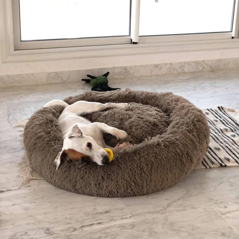 PANIER FOURRURE CHAT- CHIEN - MEDIUM - EXTRA DOUX ET LAVABLE