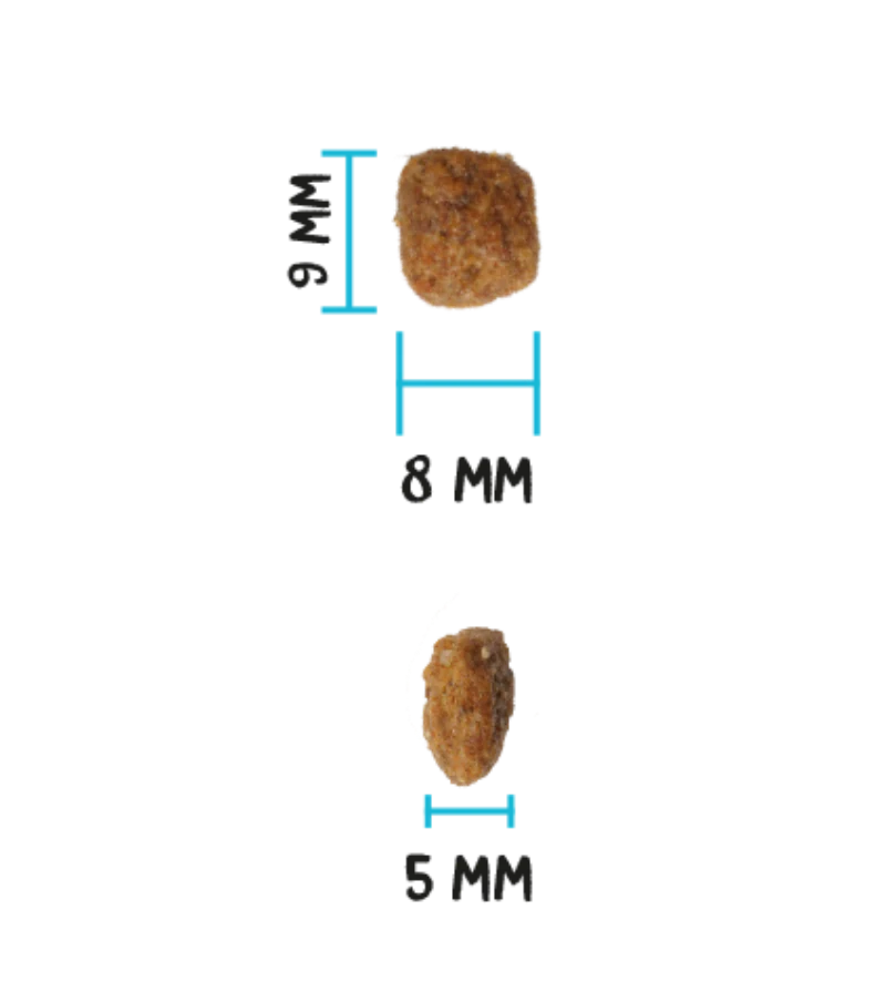 OWNAT ULTRA KITTEN 1,5 Kg