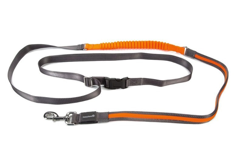 BEEZTEES - Laisse de jogging Safety Gear – Sports pour chiens