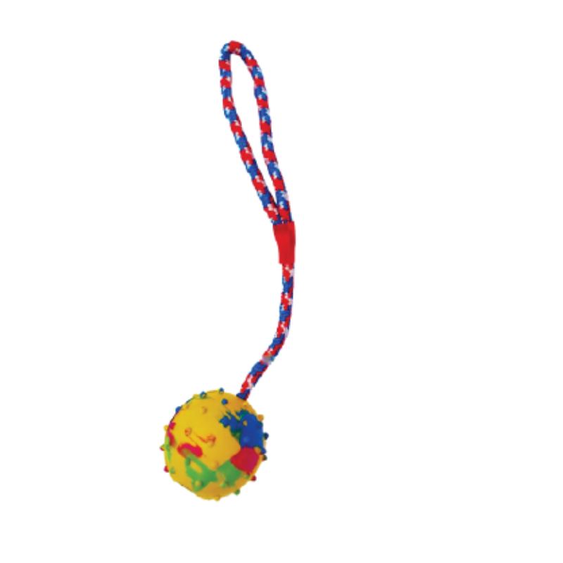 BALLE DE DRESSAGE AVEC CORDE