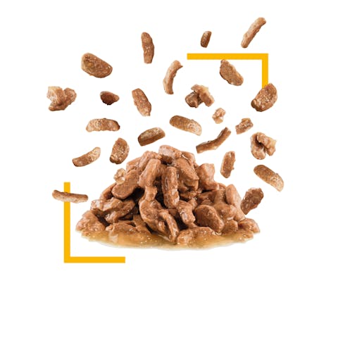 ROYAL CANIN - SAUCE POUR CHAT SENSORY TASTE  85G