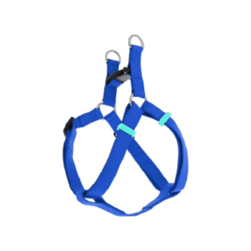 FELICAN PREMIUM HARNAIS CHIEN UNI BLEU