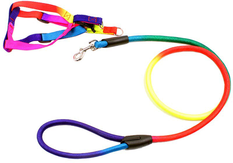 LAISSE AVEC HARNAIS ARC EN CIEL  POUR CHAT