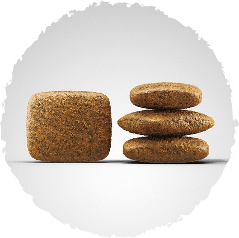 JOSERA - MENU A LA VOLAILLE POUR CHIEN ADULTE 12,5 kg