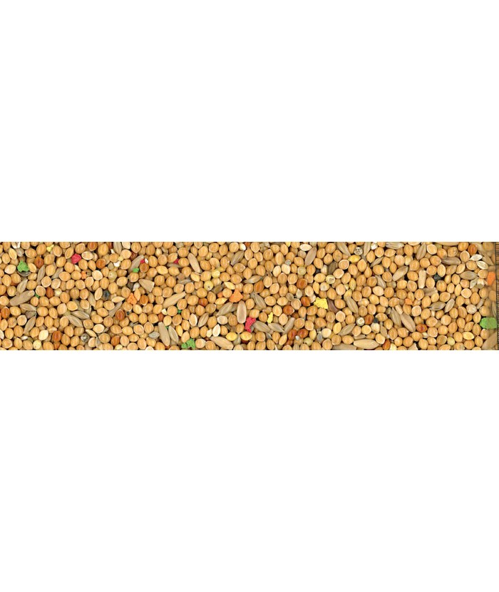 MANITOBA COCORITE PERRUCHES 1KG