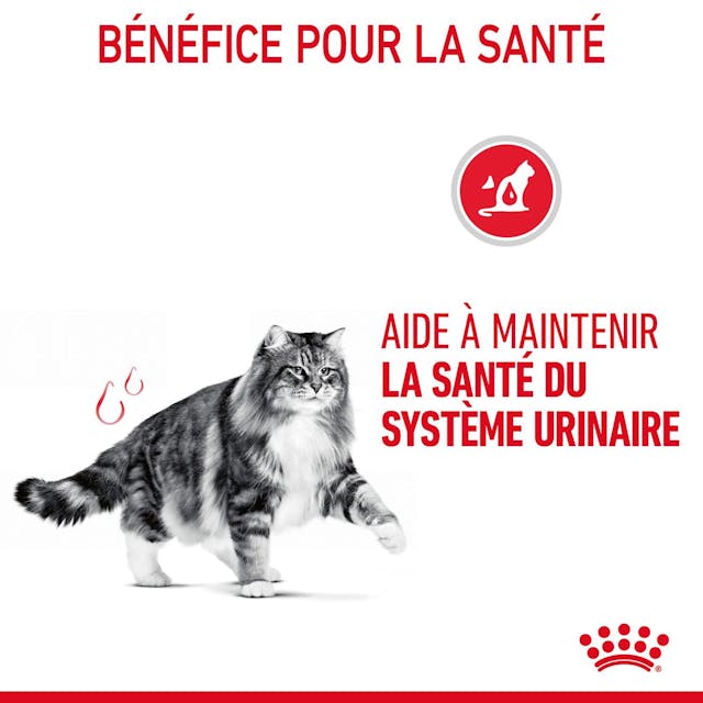 ROYAL CANIN - POCHON URINARY EMINCE EN SAUCE  85G